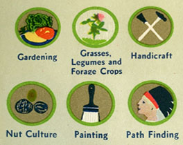 Identifying 1942 Boy Scout Merit Badges