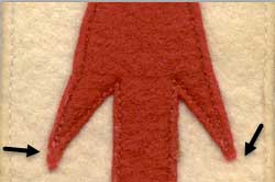 vigil sash identification