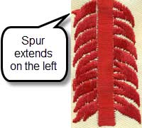 vigil sash identification