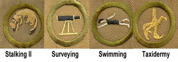 1918 Boy Scout Merit Badges