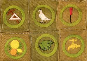 1920 - 1933 square boyt scout merit badges