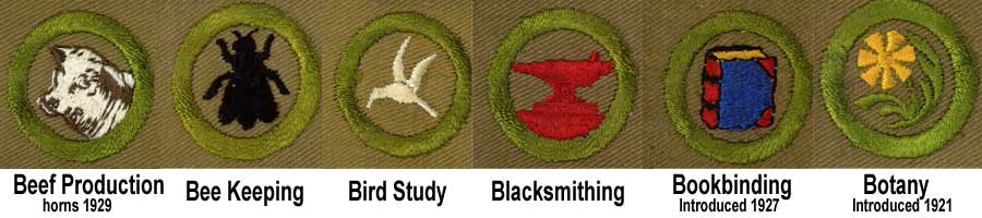 1920 - 1933 Boy Scout Merit Badges