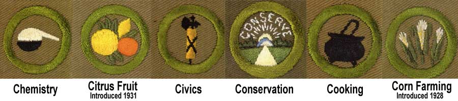 1920 - 1933 Boy Scout Merit Badges