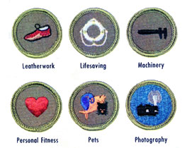 1964 Bot Scout Merit Badges