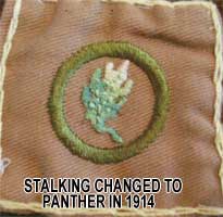Stalking Merit Badge